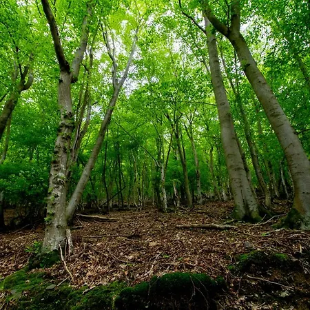 Mühlenberg Сasa de vacaciones *