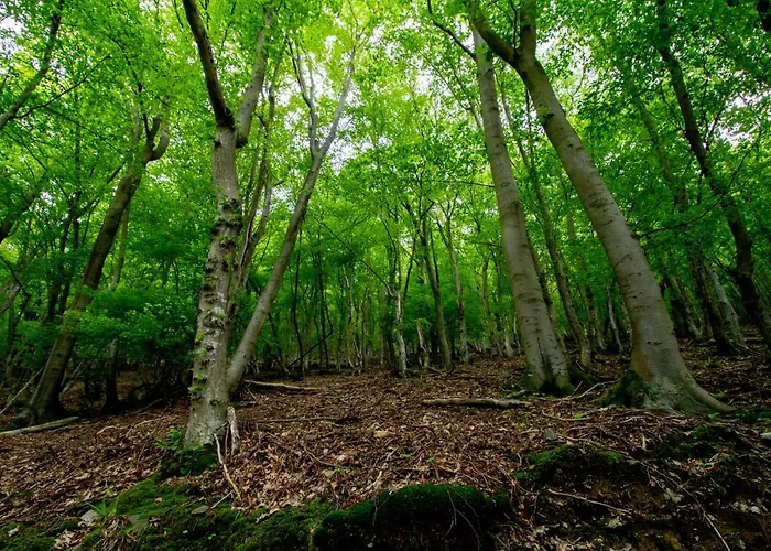 Muehlenberg Feriehus *